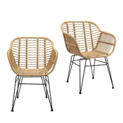 Ronnie Rattan Dining Chair - Set Of 2